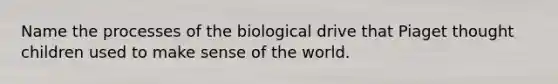 Name the processes of the biological drive that Piaget thought children used to make sense of the world.