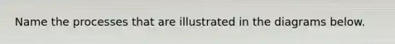 Name the processes that are illustrated in the diagrams below.