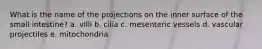 What is the name of the projections on the inner surface of the small intestine? a. villi b. cilia c. mesenteric vessels d. vascular projectiles e. mitochondria