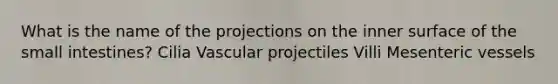 What is the name of the projections on the inner surface of the small intestines? Cilia Vascular projectiles Villi Mesenteric vessels