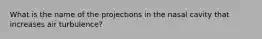 What is the name of the projections in the nasal cavity that increases air turbulence?