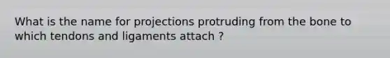 What is the name for projections protruding from the bone to which tendons and ligaments attach ?