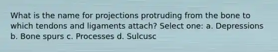 What is the name for projections protruding from the bone to which tendons and ligaments attach? Select one: a. Depressions b. Bone spurs c. Processes d. Sulcusc