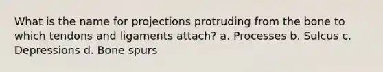 What is the name for projections protruding from the bone to which tendons and ligaments attach? a. Processes b. Sulcus c. Depressions d. Bone spurs