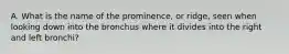 A. What is the name of the prominence, or ridge, seen when looking down into the bronchus where it divides into the right and left bronchi?