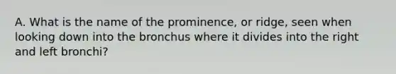 A. What is the name of the prominence, or ridge, seen when looking down into the bronchus where it divides into the right and left bronchi?