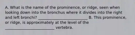 A. What is the name of the prominence, or ridge, seen when looking down into the bronchus where it divides into the right and left bronchi? __________________________ B. This prominence, or ridge, is approximately at the level of the __________________________ vertebra.