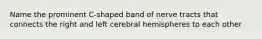 Name the prominent C-shaped band of nerve tracts that connects the right and left cerebral hemispheres to each other