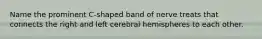 Name the prominent C-shaped band of nerve treats that connects the right and left cerebral hemispheres to each other.