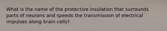 What is the name of the protective insulation that surrounds parts of neurons and speeds the transmission of electrical impulses along brain cells?