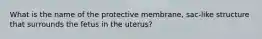 What is the name of the protective membrane, sac-like structure that surrounds the fetus in the uterus?