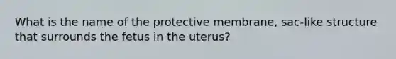 What is the name of the protective membrane, sac-like structure that surrounds the fetus in the uterus?