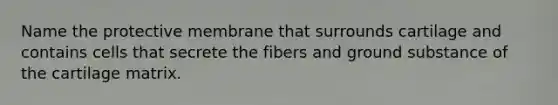 Name the protective membrane that surrounds cartilage and contains cells that secrete the fibers and ground substance of the cartilage matrix.
