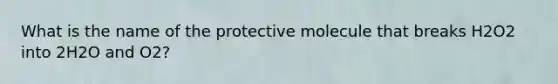 What is the name of the protective molecule that breaks H2O2 into 2H2O and O2?