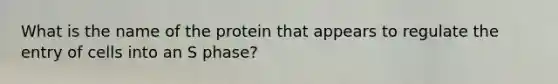 What is the name of the protein that appears to regulate the entry of cells into an S phase?