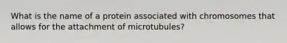 What is the name of a protein associated with chromosomes that allows for the attachment of microtubules?