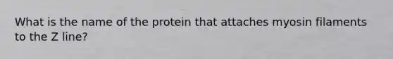 What is the name of the protein that attaches myosin filaments to the Z line?