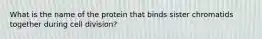 What is the name of the protein that binds sister chromatids together during cell division?