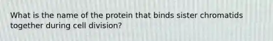 What is the name of the protein that binds sister chromatids together during cell division?