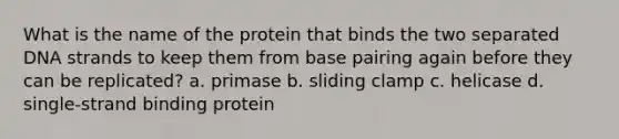 What is the name of the protein that binds the two separated DNA strands to keep them from base pairing again before they can be replicated? a. primase b. sliding clamp c. helicase d. single-strand binding protein