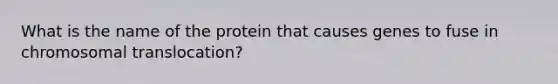 What is the name of the protein that causes genes to fuse in chromosomal translocation?