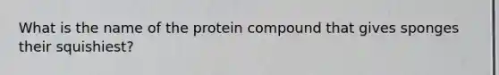 What is the name of the protein compound that gives sponges their squishiest?