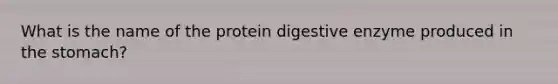 What is the name of the protein digestive enzyme produced in the stomach?