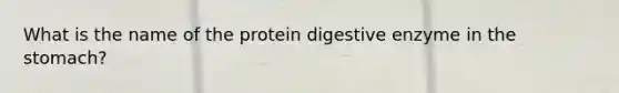 What is the name of the protein digestive enzyme in the stomach?