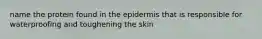 name the protein found in the epidermis that is responsible for waterproofing and toughening the skin