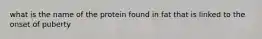 what is the name of the protein found in fat that is linked to the onset of puberty