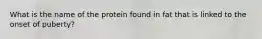 What is the name of the protein found in fat that is linked to the onset of puberty?