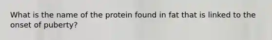 What is the name of the protein found in fat that is linked to the onset of puberty?