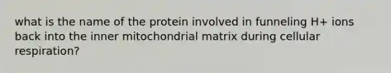 what is the name of the protein involved in funneling H+ ions back into the inner mitochondrial matrix during cellular respiration?