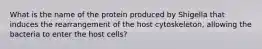 What is the name of the protein produced by Shigella that induces the rearrangement of the host cytoskeleton, allowing the bacteria to enter the host cells?