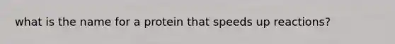 what is the name for a protein that speeds up reactions?