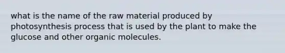 what is the name of the raw material produced by photosynthesis process that is used by the plant to make the glucose and other organic molecules.