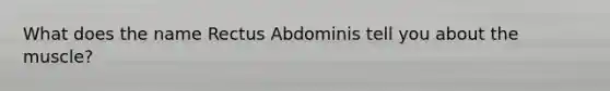 What does the name Rectus Abdominis tell you about the muscle?