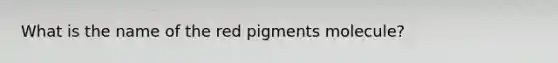 What is the name of the red pigments molecule?