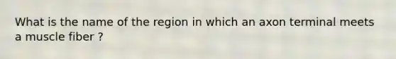 What is the name of the region in which an axon terminal meets a muscle fiber ?