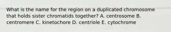 What is the name for the region on a duplicated chromosome that holds sister chromatids together? A. centrosome B. centromere C. kinetochore D. centriole E. cytochrome