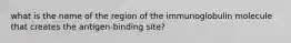 what is the name of the region of the immunoglobulin molecule that creates the antigen-binding site?