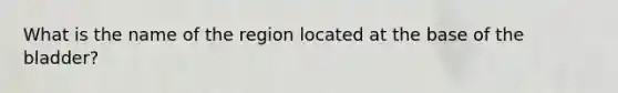 What is the name of the region located at the base of the bladder?