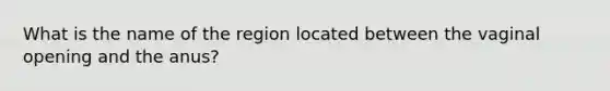 What is the name of the region located between the vaginal opening and the anus?