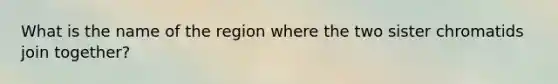 What is the name of the region where the two sister chromatids join together?