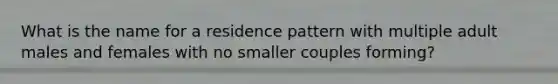 What is the name for a residence pattern with multiple adult males and females with no smaller couples forming?