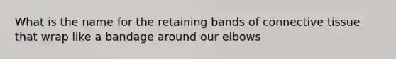 What is the name for the retaining bands of connective tissue that wrap like a bandage around our elbows