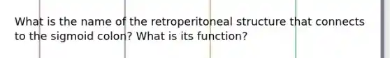 What is the name of the retroperitoneal structure that connects to the sigmoid colon? What is its function?