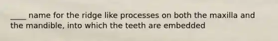 ____ name for the ridge like processes on both the maxilla and the mandible, into which the teeth are embedded