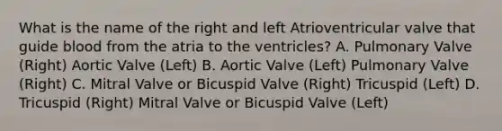 What is the name of the right and left Atrioventricular valve that guide blood from the atria to the ventricles? A. Pulmonary Valve (Right) Aortic Valve (Left) B. Aortic Valve (Left) Pulmonary Valve (Right) C. Mitral Valve or Bicuspid Valve (Right) Tricuspid (Left) D. Tricuspid (Right) Mitral Valve or Bicuspid Valve (Left)