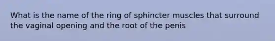 What is the name of the ring of sphincter muscles that surround the vaginal opening and the root of the penis